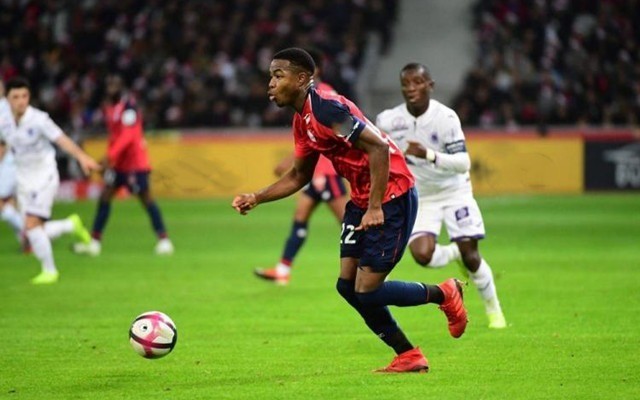 乐的假期 乐的假期