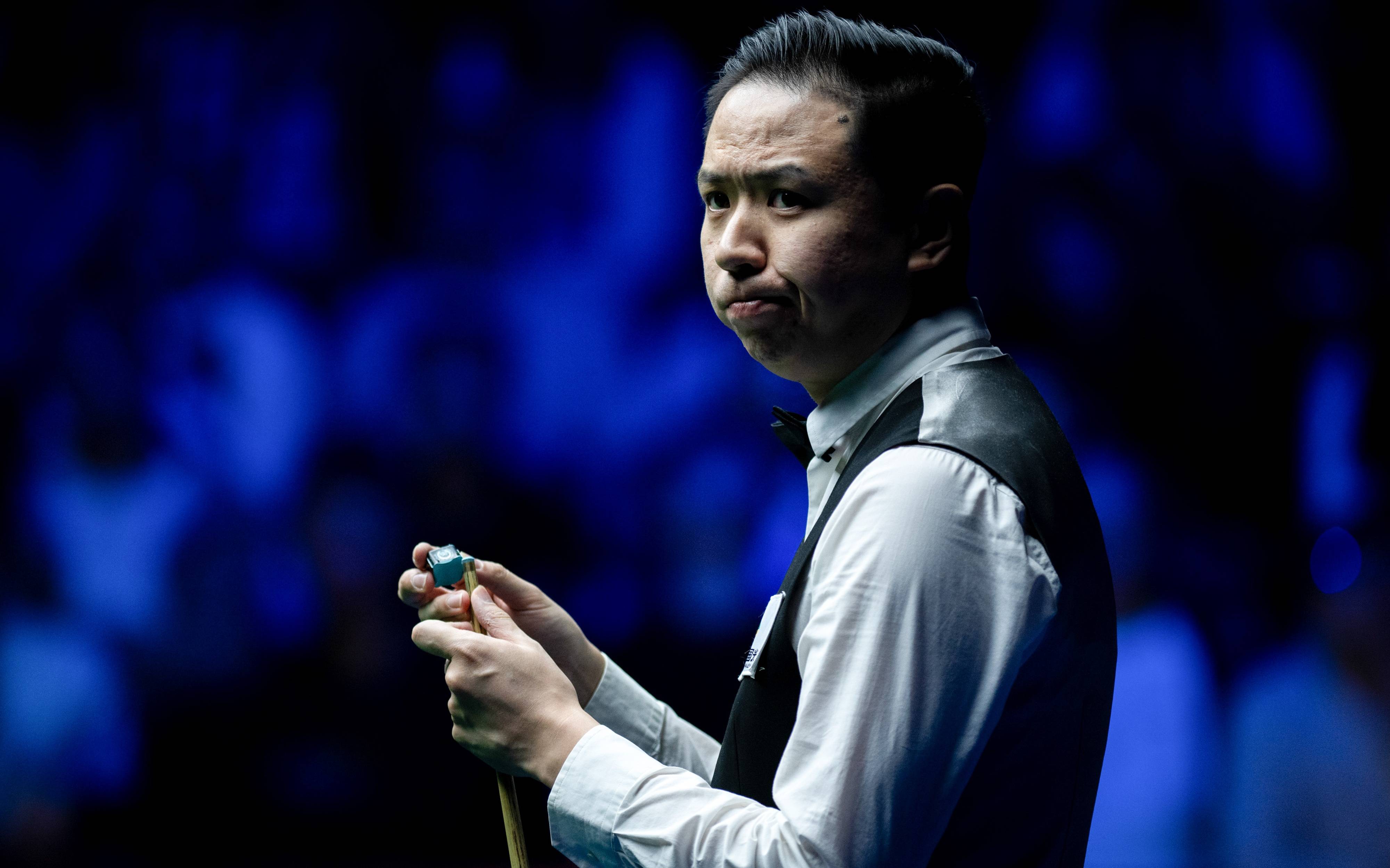 总是引人关 总是引人关