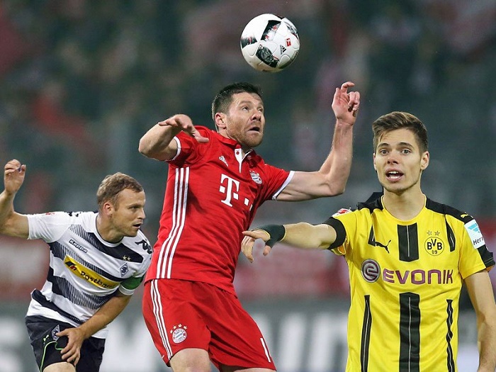 草地之王 草地之王