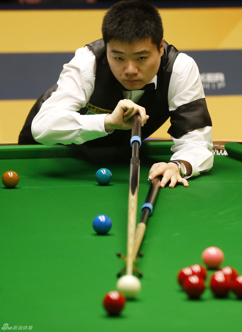 了新的活力 了新的活力