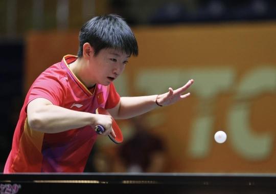 意大利的足 意大利的足