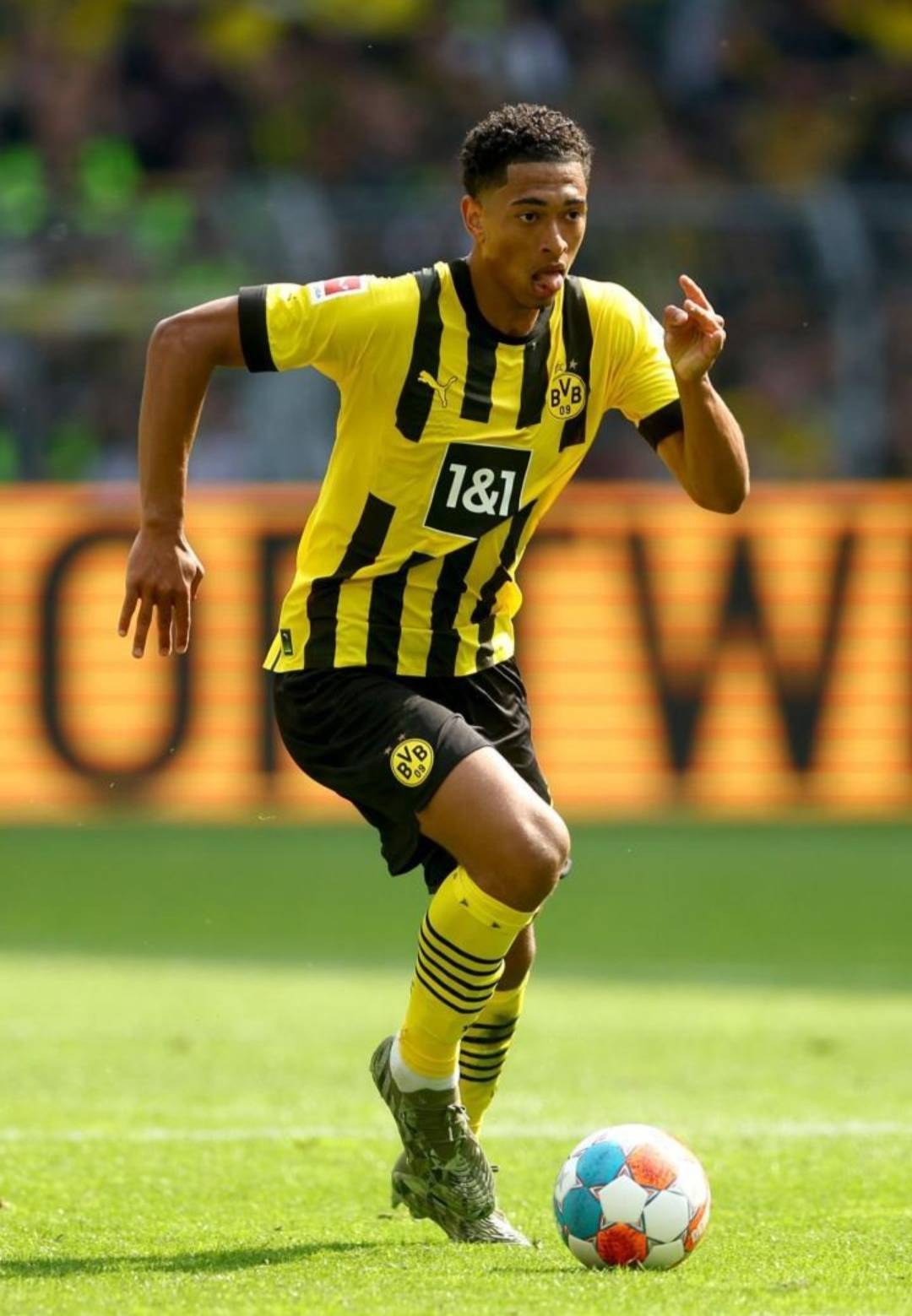 这些术语背 这些术语背