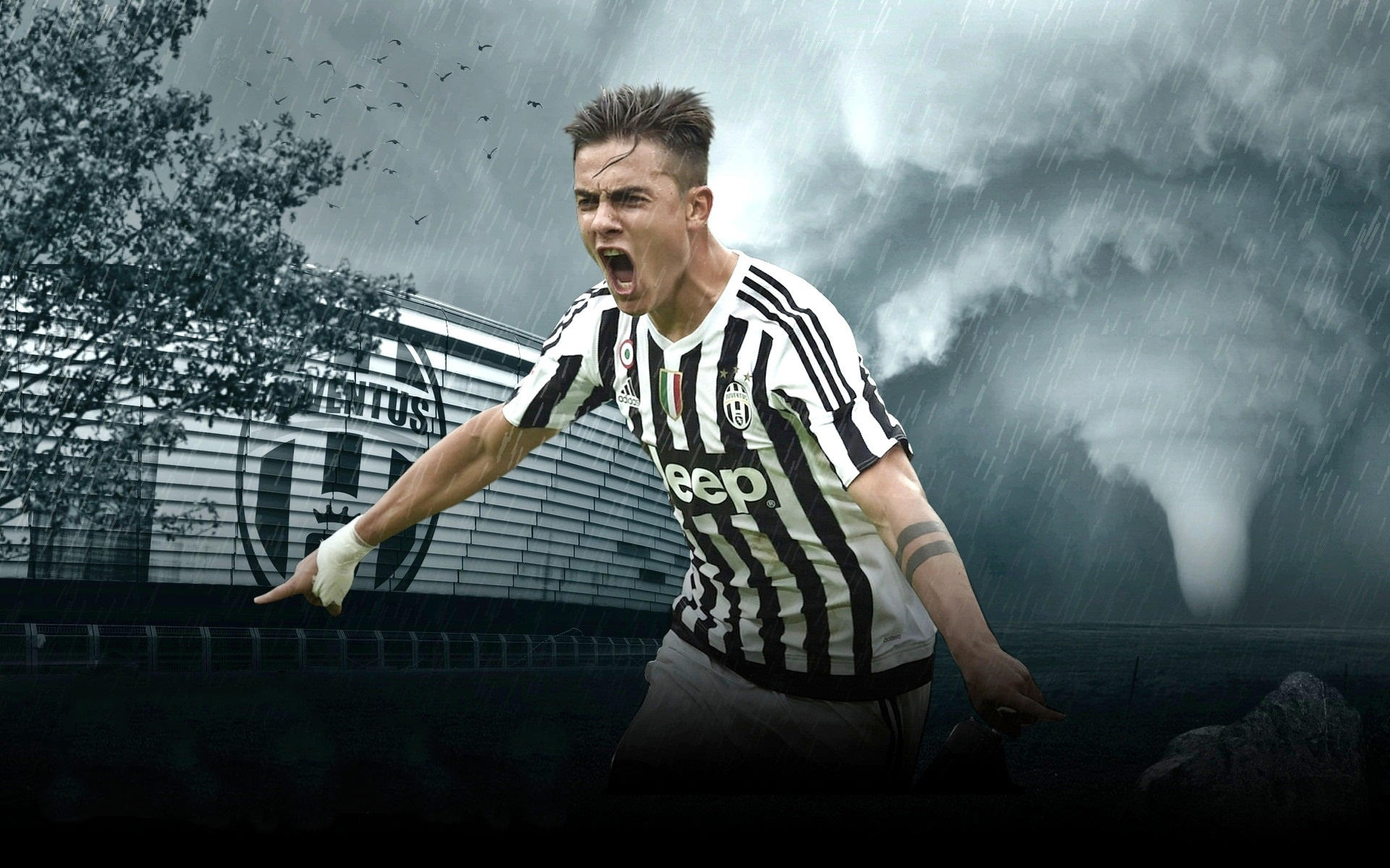 引援与训练 引援与训练