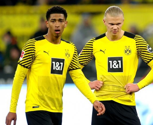 职业偏好 职业偏好